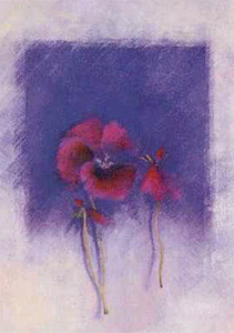 Scarlet Violet, Matilda Ellison